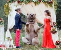 Állati esküvő: egy mackó adta össze a szerelmeseket - galéria